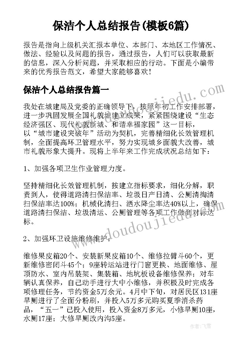 保洁个人总结报告(模板6篇)