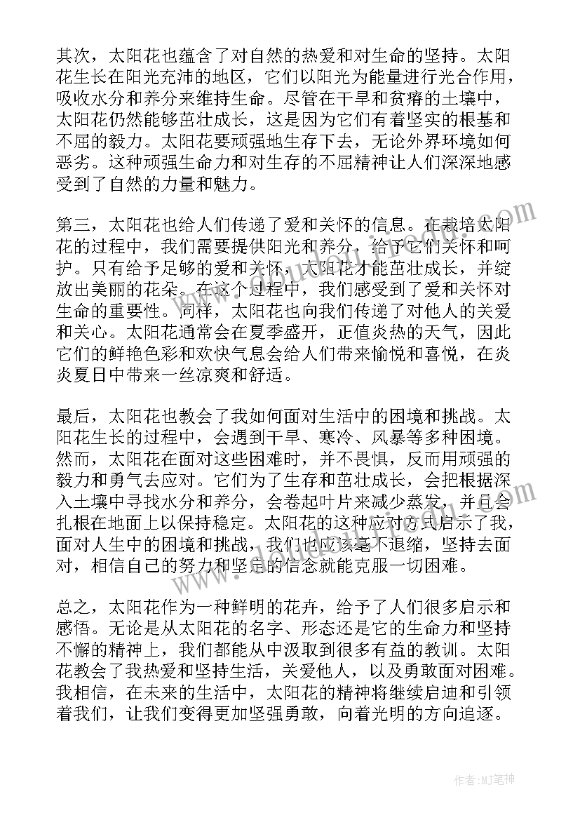 2023年太阳说课稿一等奖 太阳花心得体会(大全6篇)