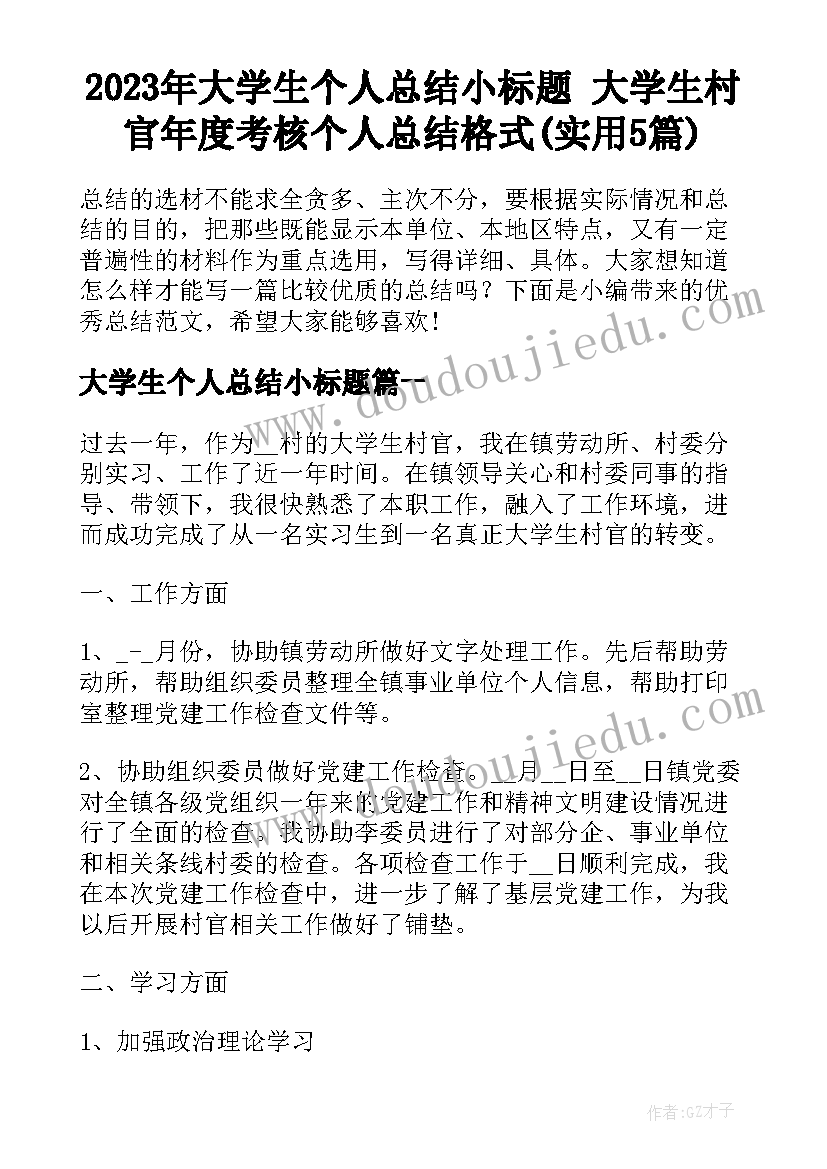 2023年大学生个人总结小标题 大学生村官年度考核个人总结格式(实用5篇)