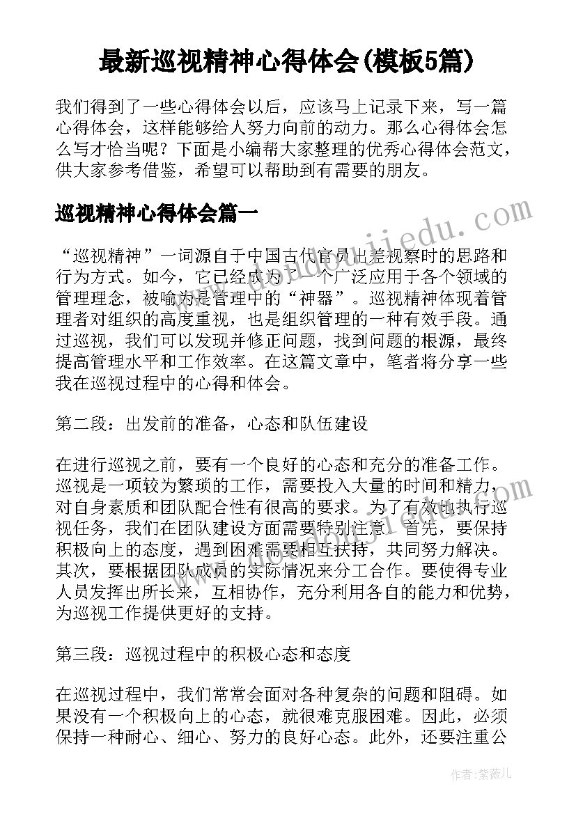 最新巡视精神心得体会(模板5篇)