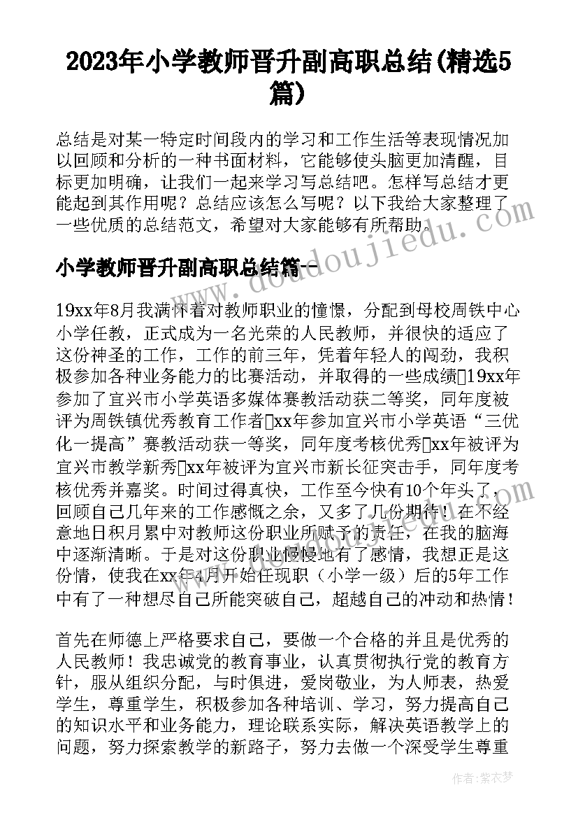 2023年小学教师晋升副高职总结(精选5篇)