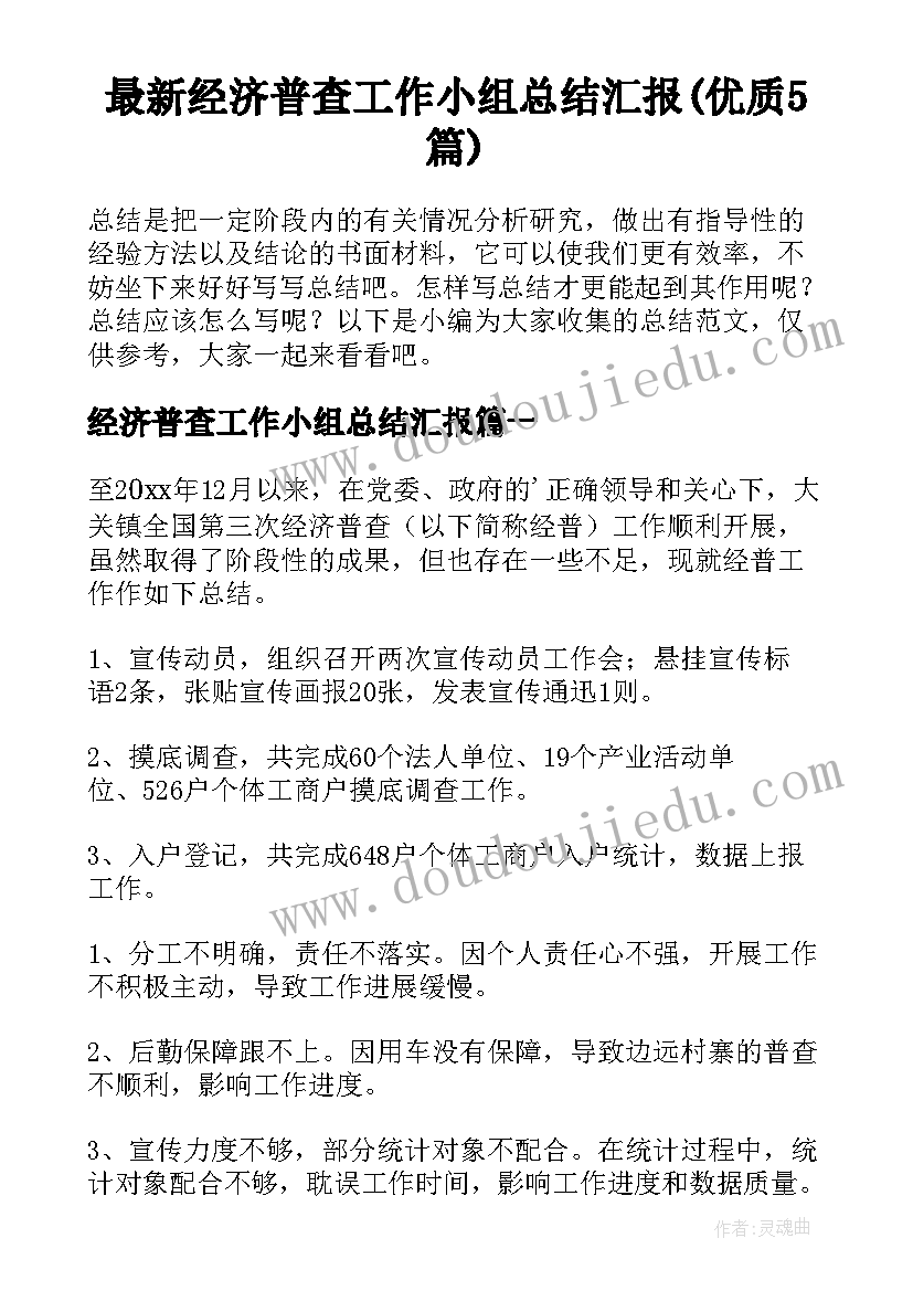 最新经济普查工作小组总结汇报(优质5篇)