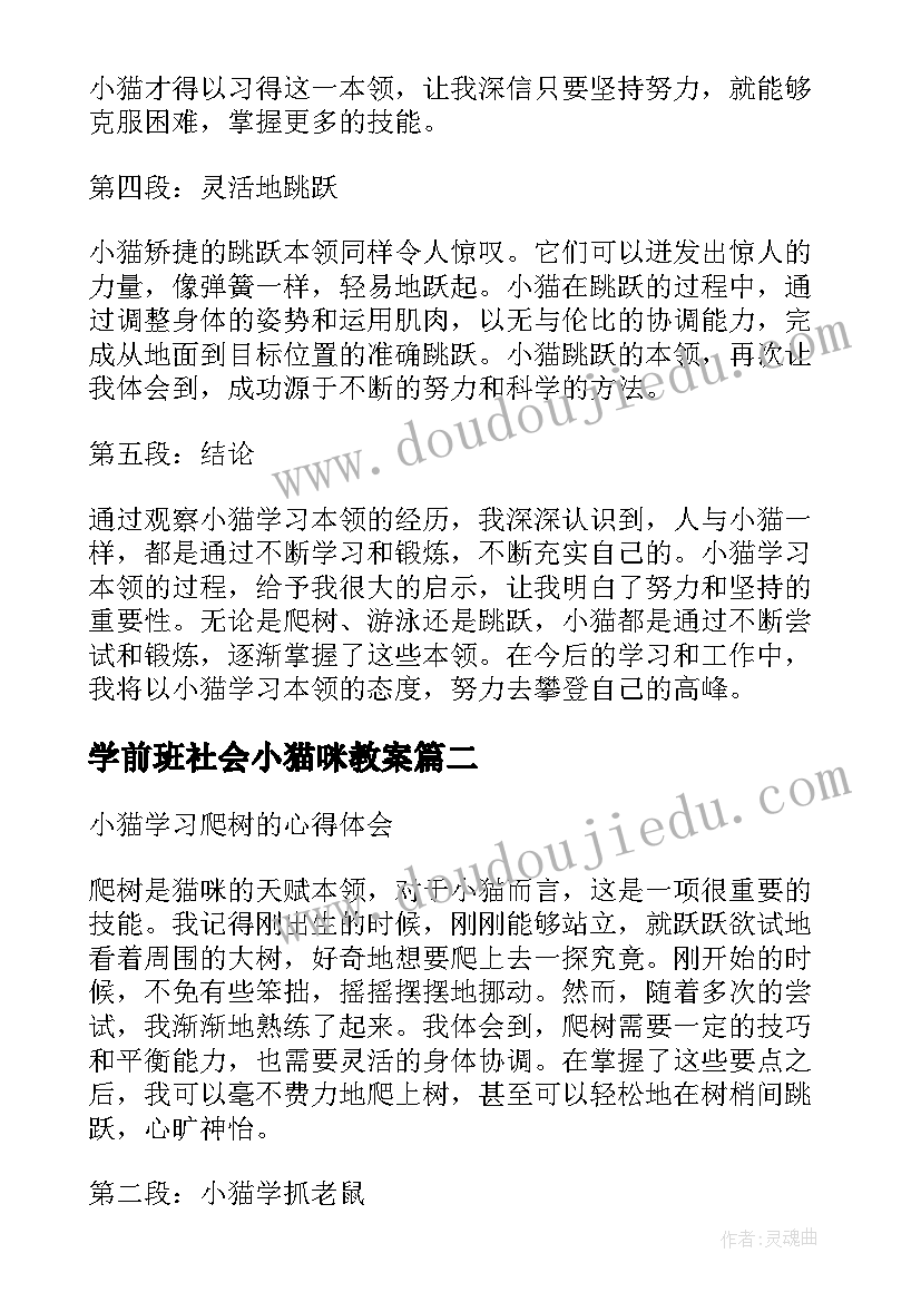 最新学前班社会小猫咪教案(实用10篇)