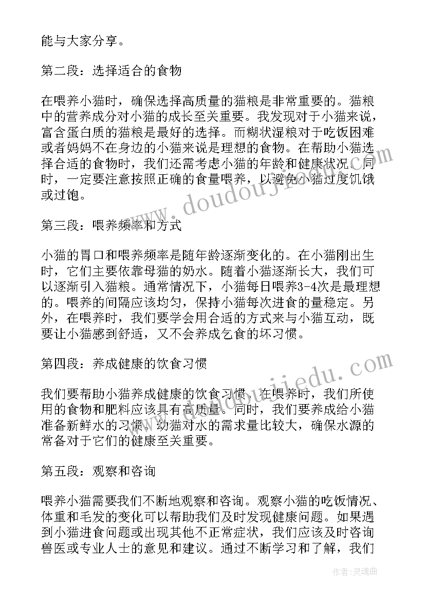 最新学前班社会小猫咪教案(实用10篇)