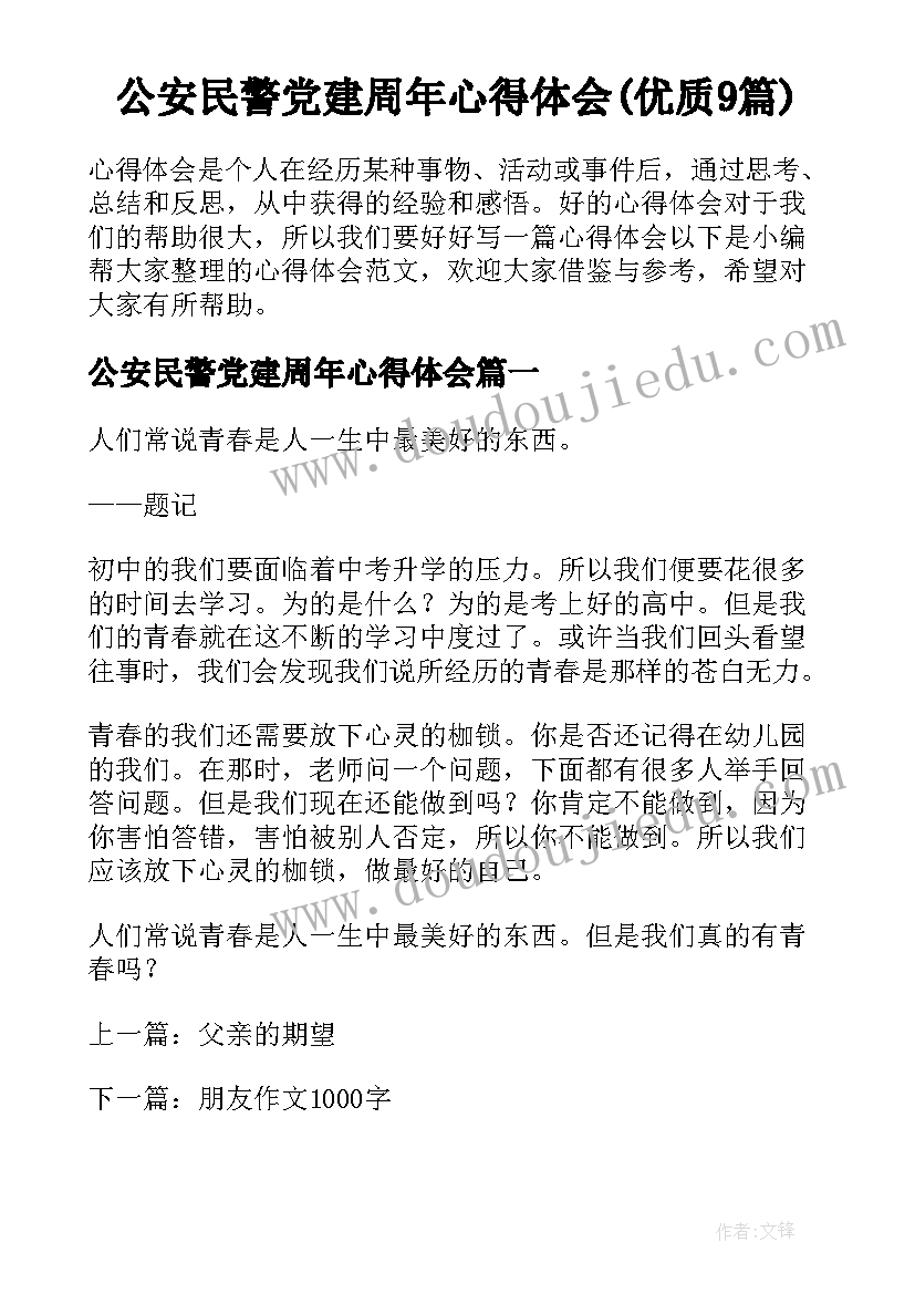 公安民警党建周年心得体会(优质9篇)