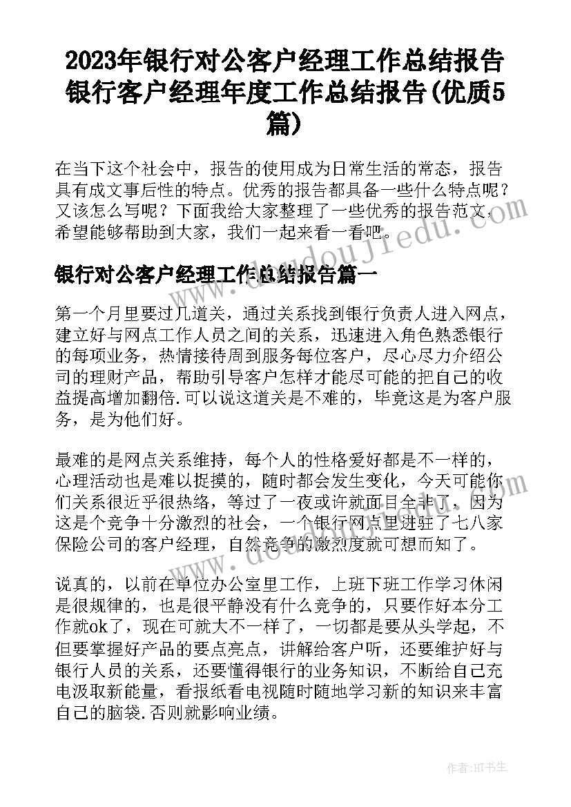 2023年银行对公客户经理工作总结报告 银行客户经理年度工作总结报告(优质5篇)