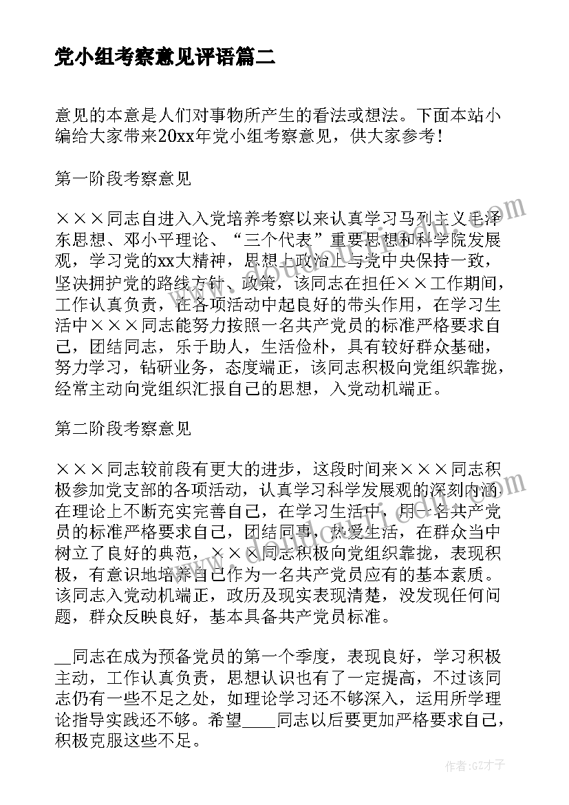 党小组考察意见评语 党小组考察意见(汇总5篇)