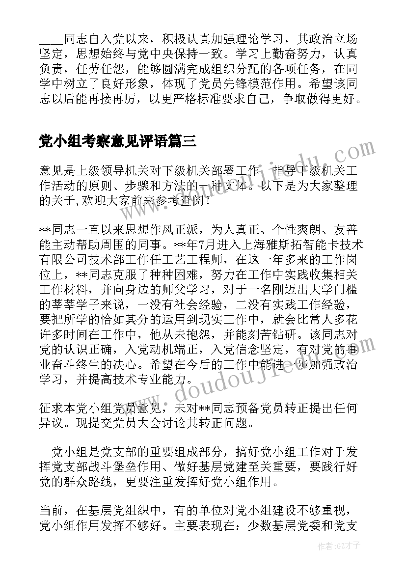 党小组考察意见评语 党小组考察意见(汇总5篇)