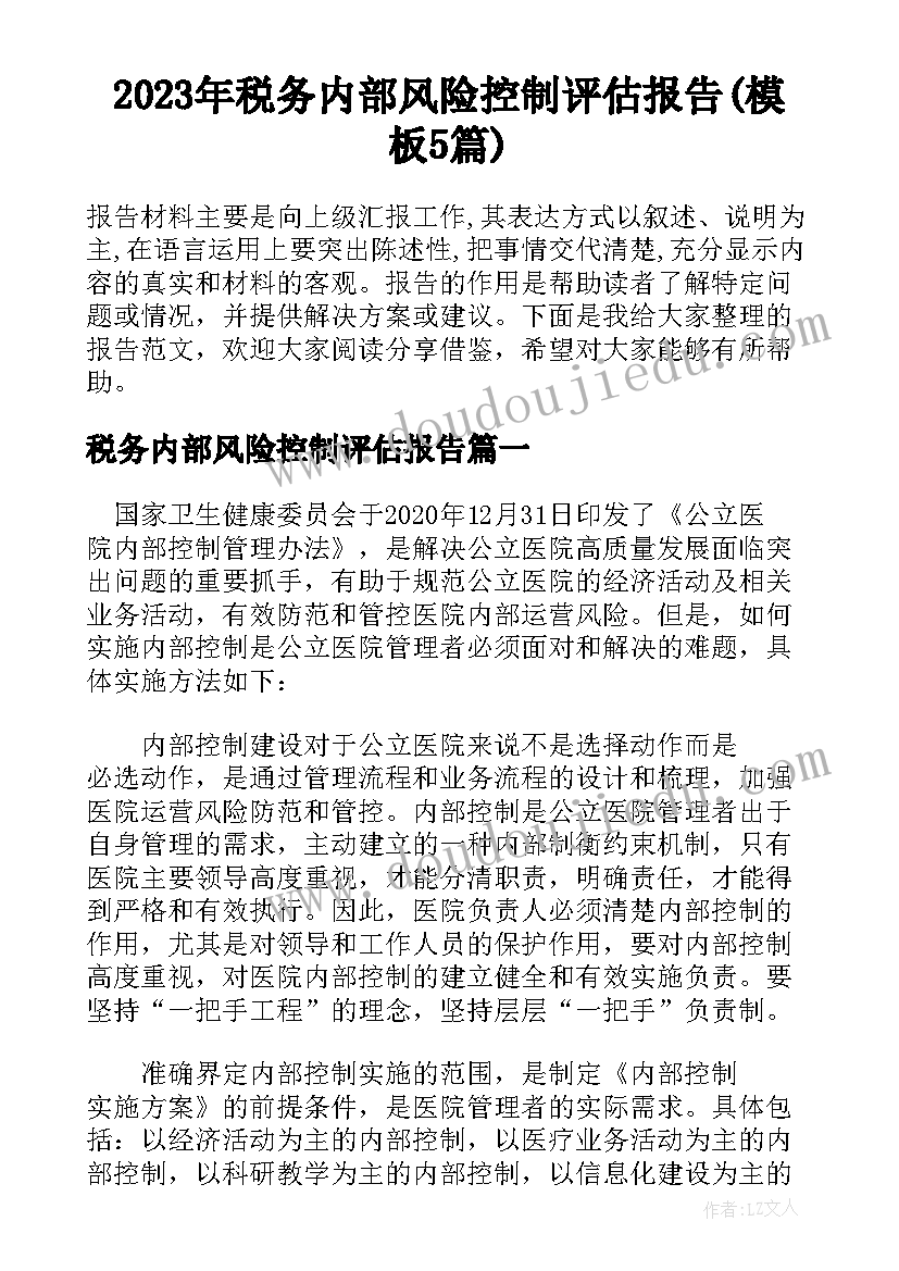 2023年税务内部风险控制评估报告(模板5篇)