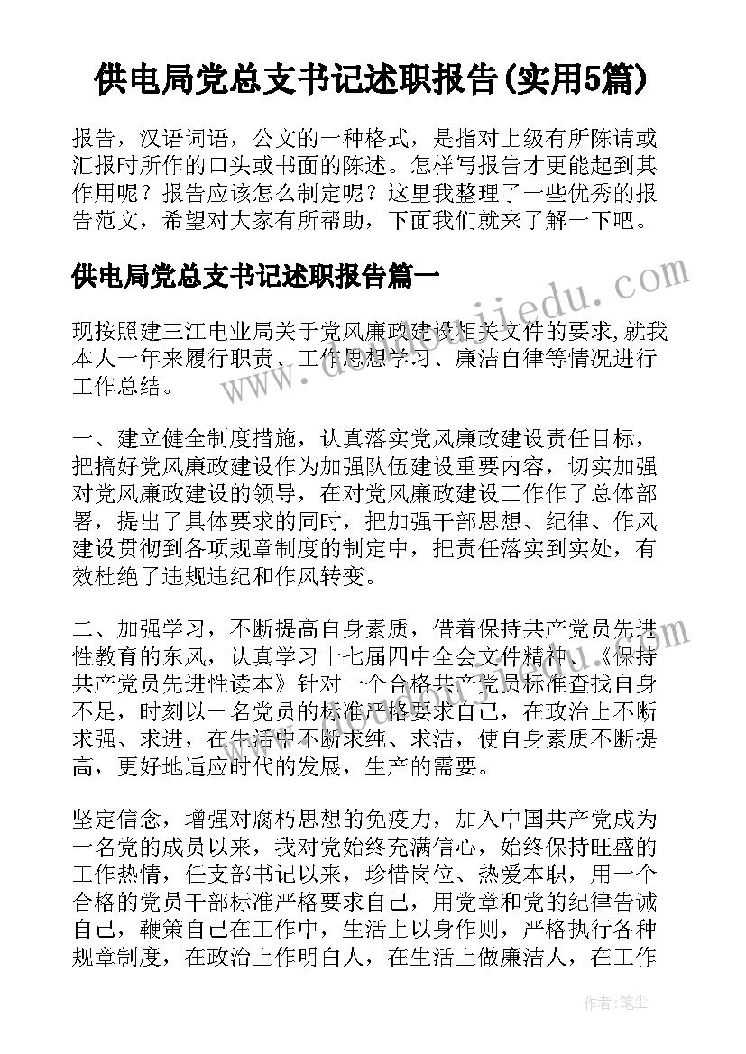 供电局党总支书记述职报告(实用5篇)