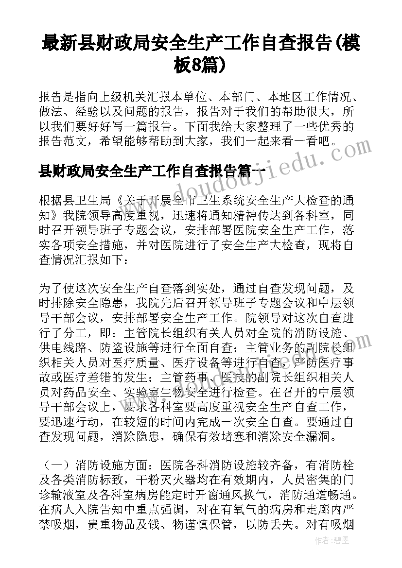 最新县财政局安全生产工作自查报告(模板8篇)