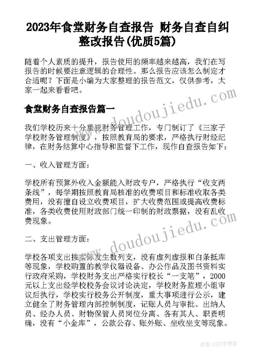 2023年食堂财务自查报告 财务自查自纠整改报告(优质5篇)