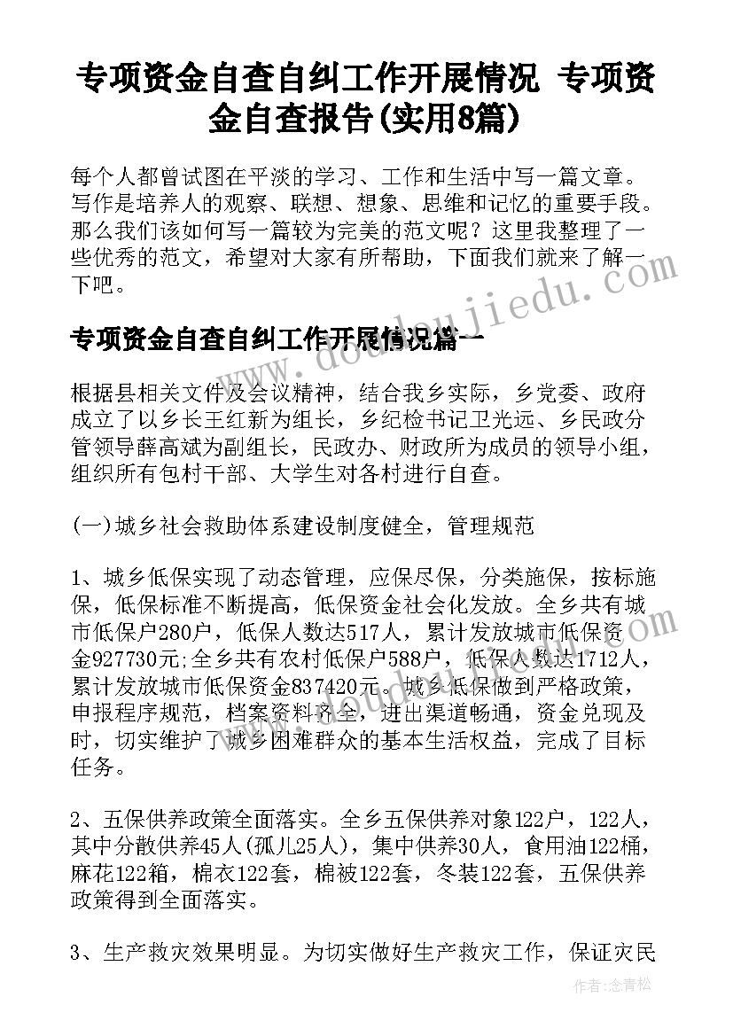 专项资金自查自纠工作开展情况 专项资金自查报告(实用8篇)