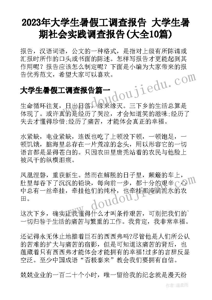 2023年大学生暑假工调查报告 大学生暑期社会实践调查报告(大全10篇)