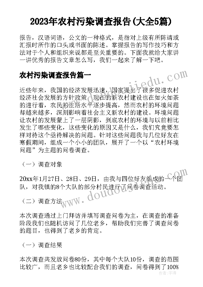 2023年农村污染调查报告(大全5篇)