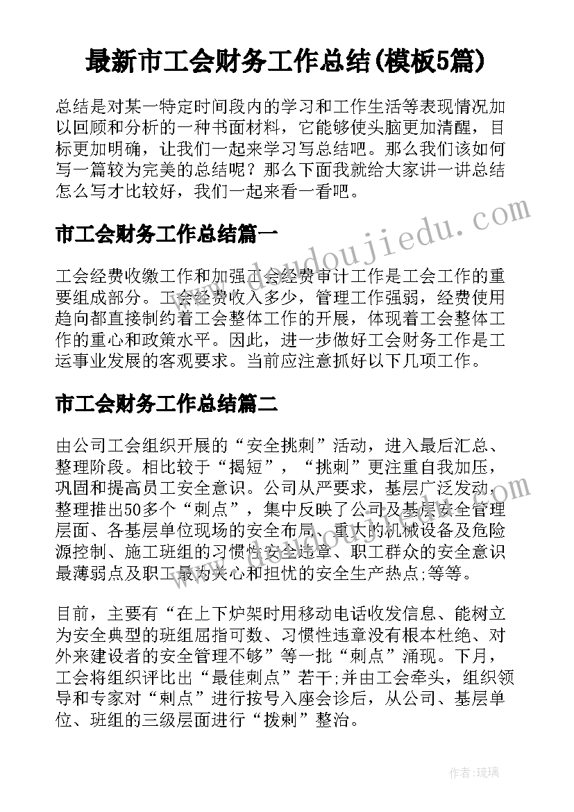 最新市工会财务工作总结(模板5篇)