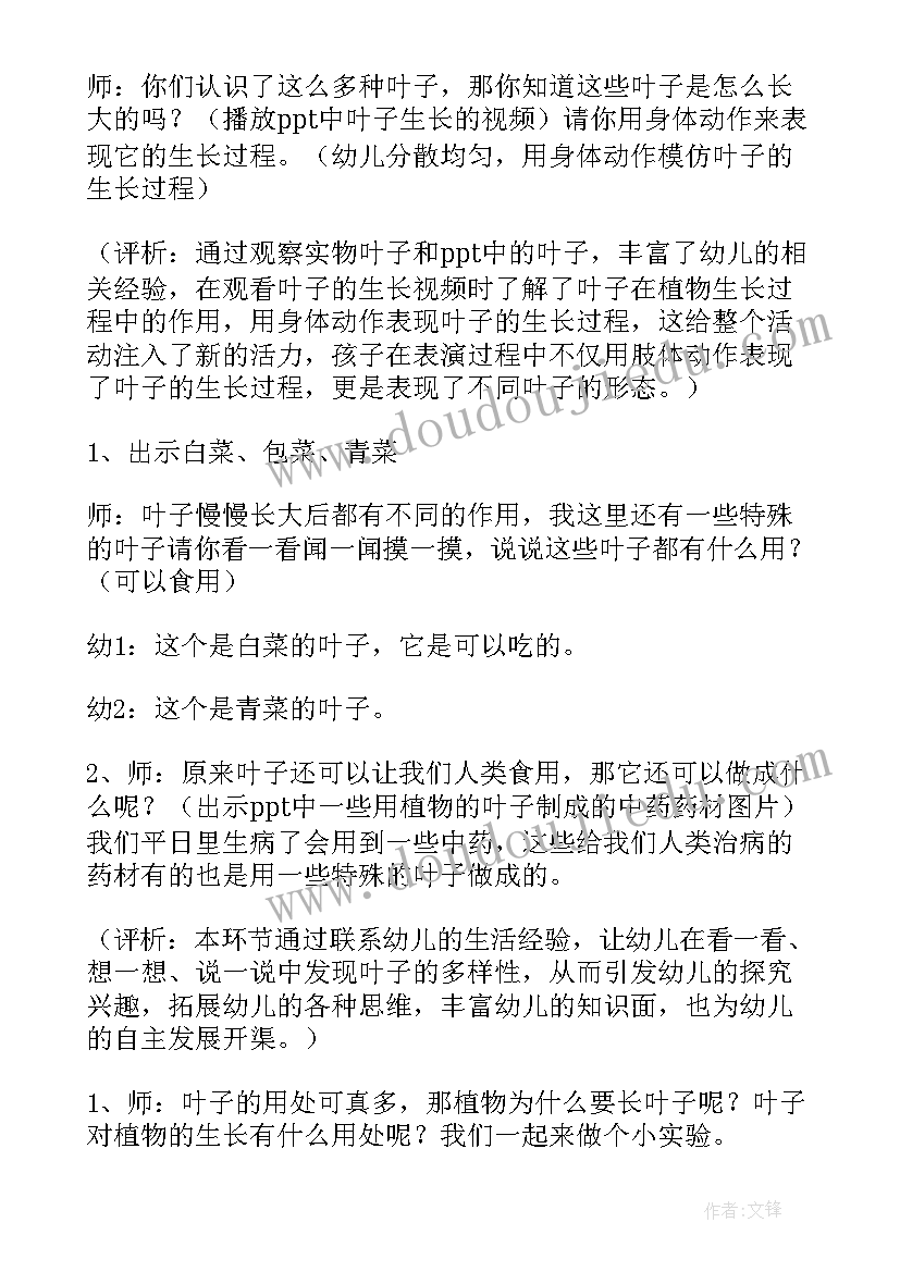 最新大班科学活动叶子的变化 大班科学的活动教案叶子的秘密(优质5篇)