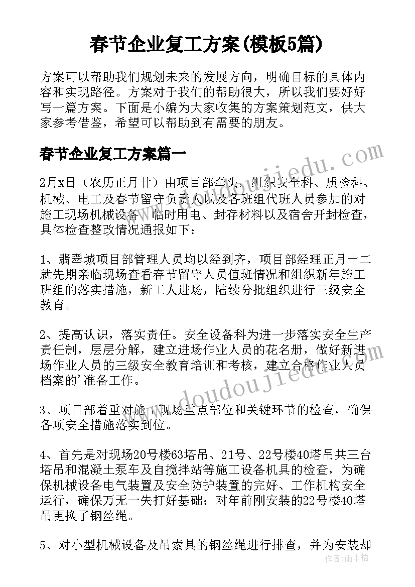 春节企业复工方案(模板5篇)