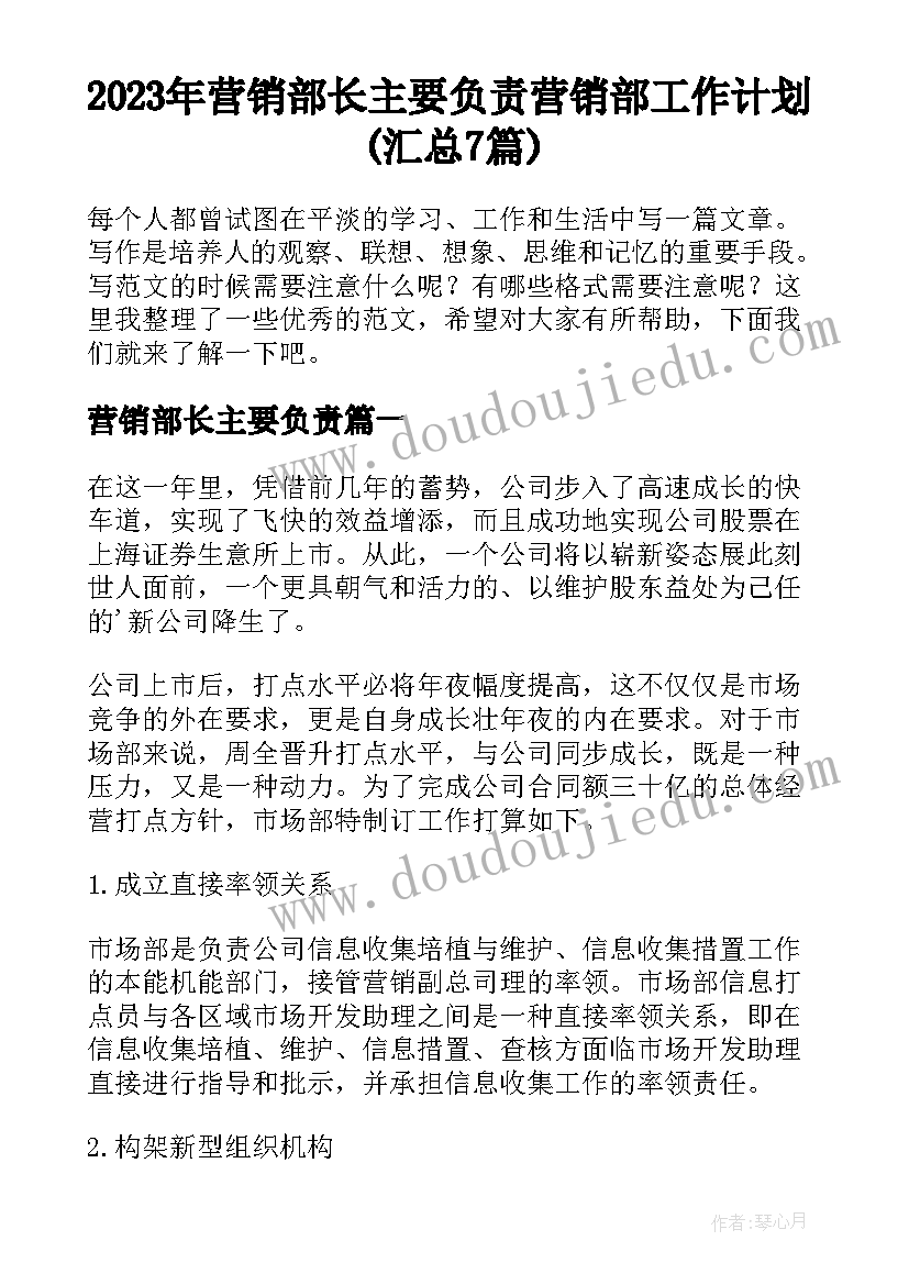 2023年营销部长主要负责 营销部工作计划(汇总7篇)