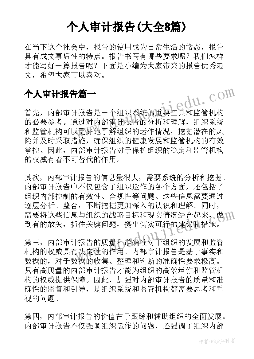 个人审计报告(大全8篇)