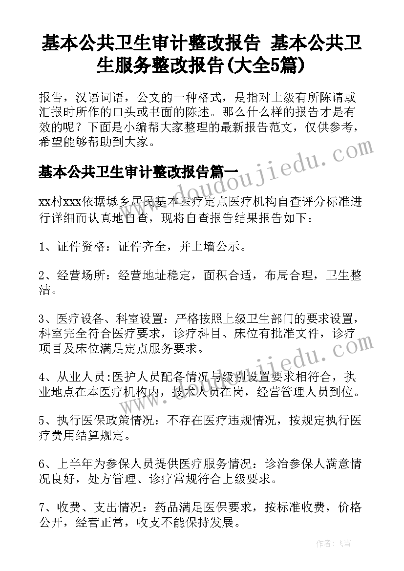 基本公共卫生审计整改报告 基本公共卫生服务整改报告(大全5篇)