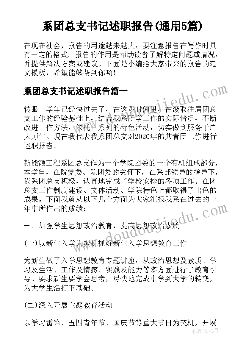 系团总支书记述职报告(通用5篇)