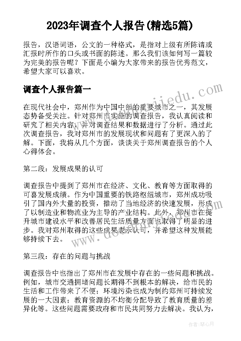 2023年调查个人报告(精选5篇)