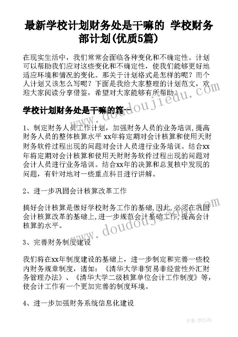 最新学校计划财务处是干嘛的 学校财务部计划(优质5篇)