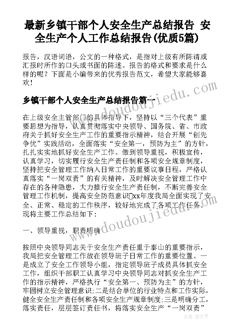 最新乡镇干部个人安全生产总结报告 安全生产个人工作总结报告(优质5篇)