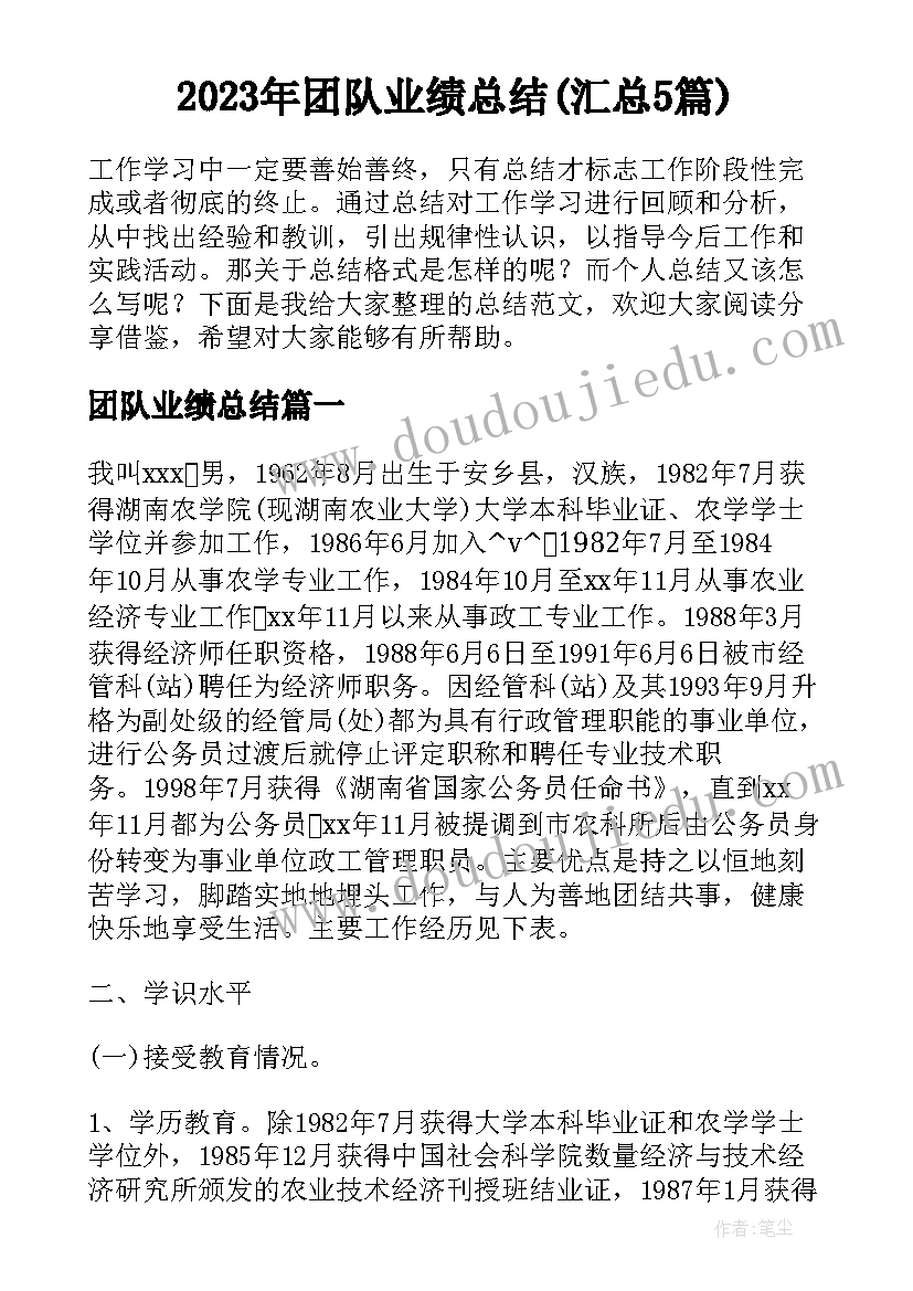 2023年团队业绩总结(汇总5篇)