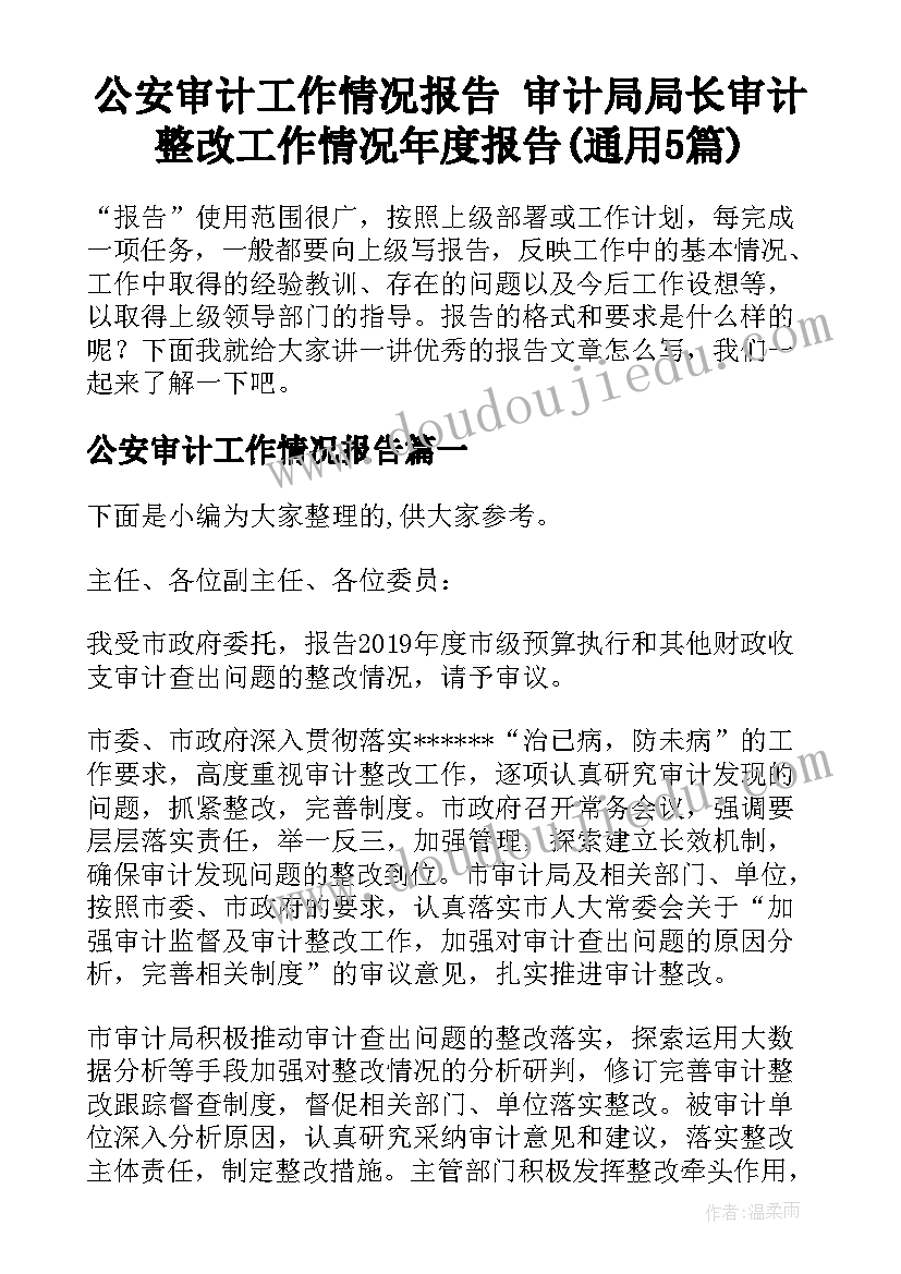 公安审计工作情况报告 审计局局长审计整改工作情况年度报告(通用5篇)