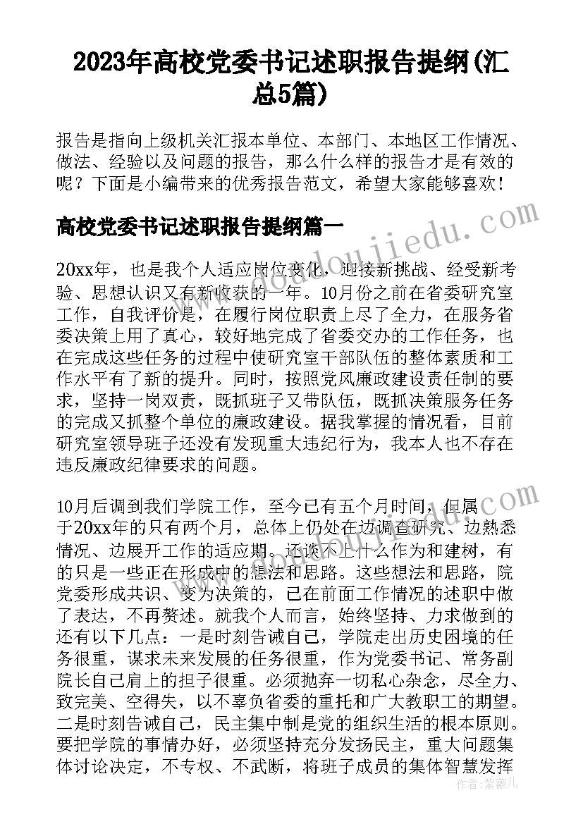 2023年高校党委书记述职报告提纲(汇总5篇)