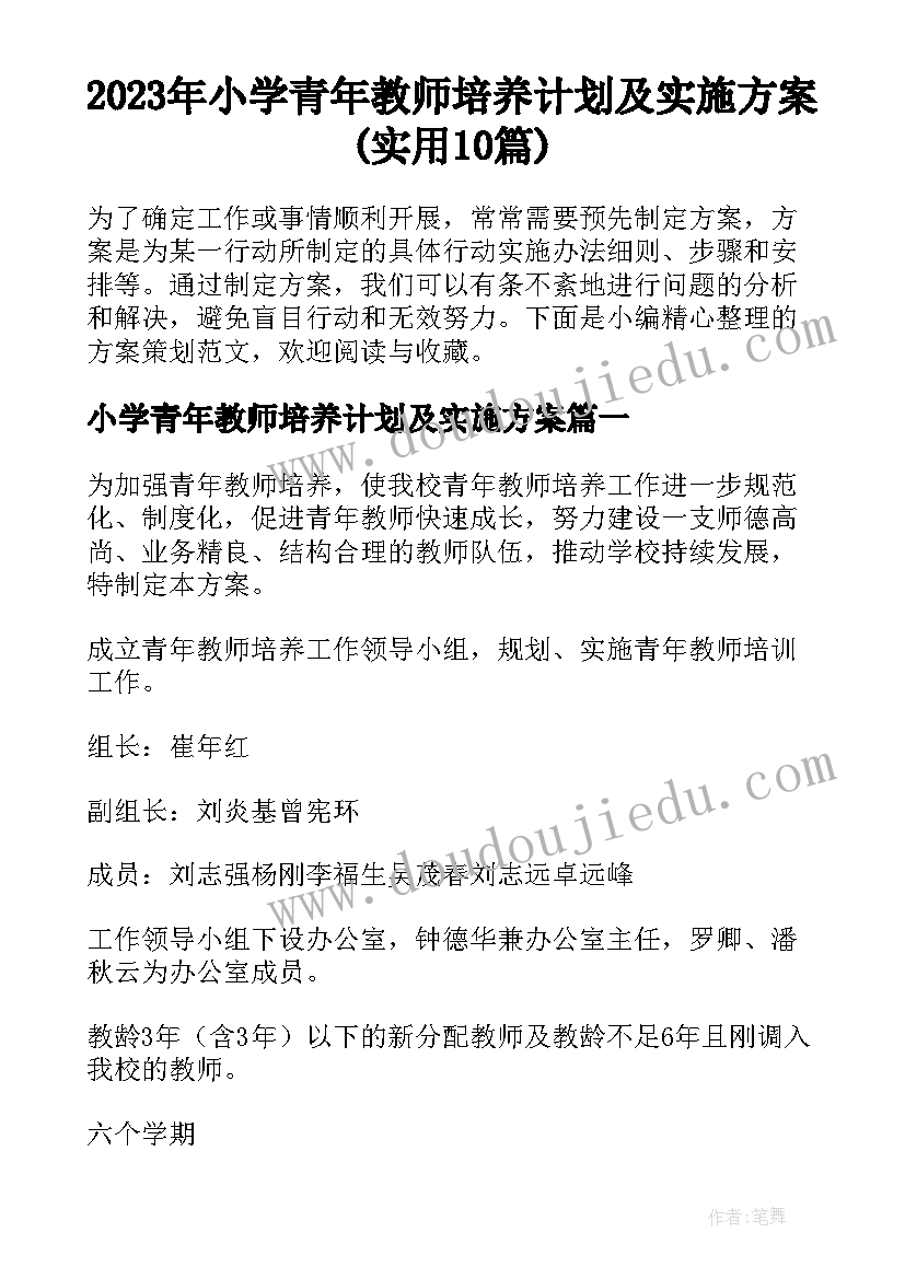 2023年小学青年教师培养计划及实施方案(实用10篇)