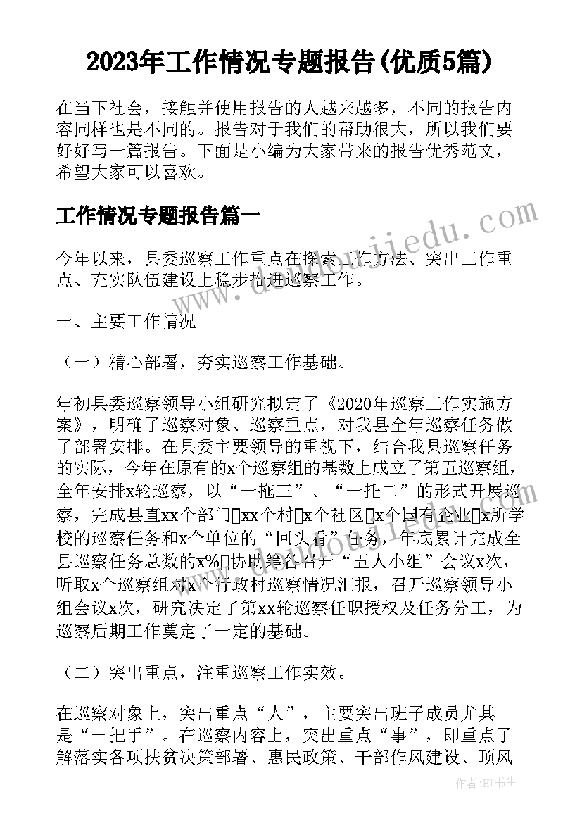 2023年工作情况专题报告(优质5篇)