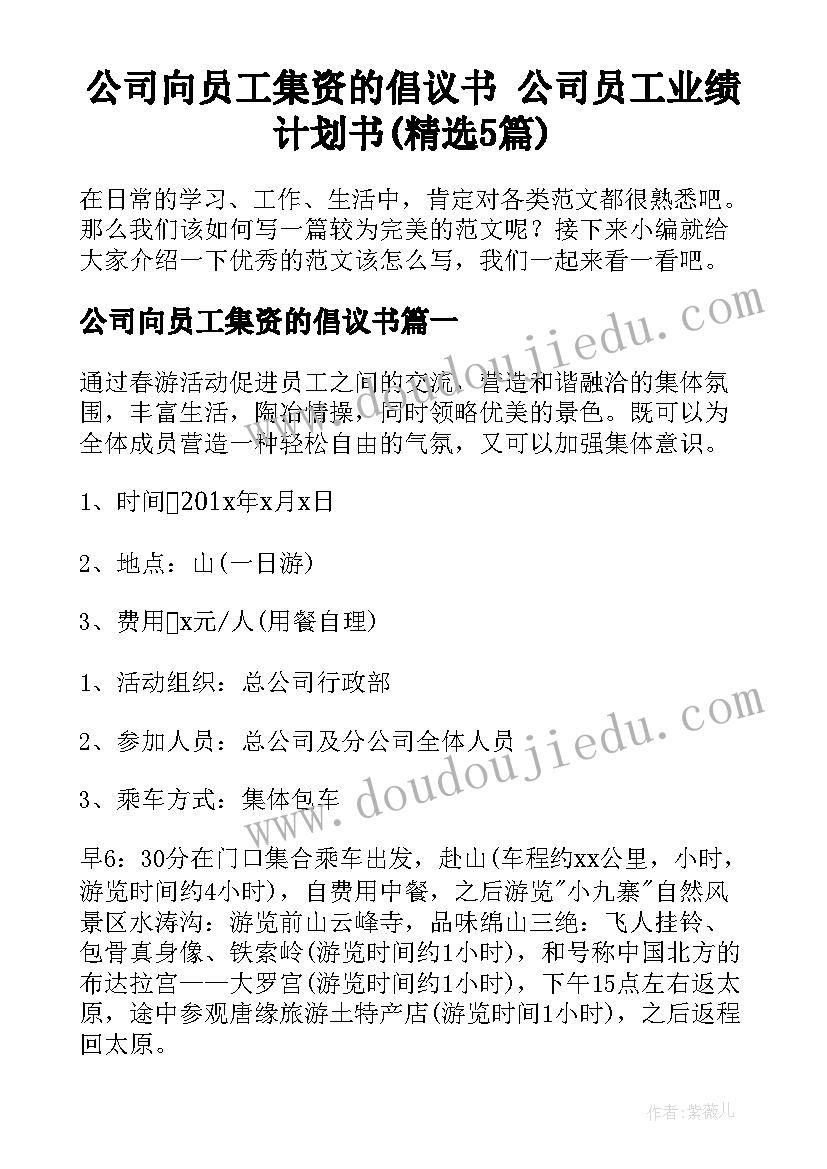 公司向员工集资的倡议书 公司员工业绩计划书(精选5篇)