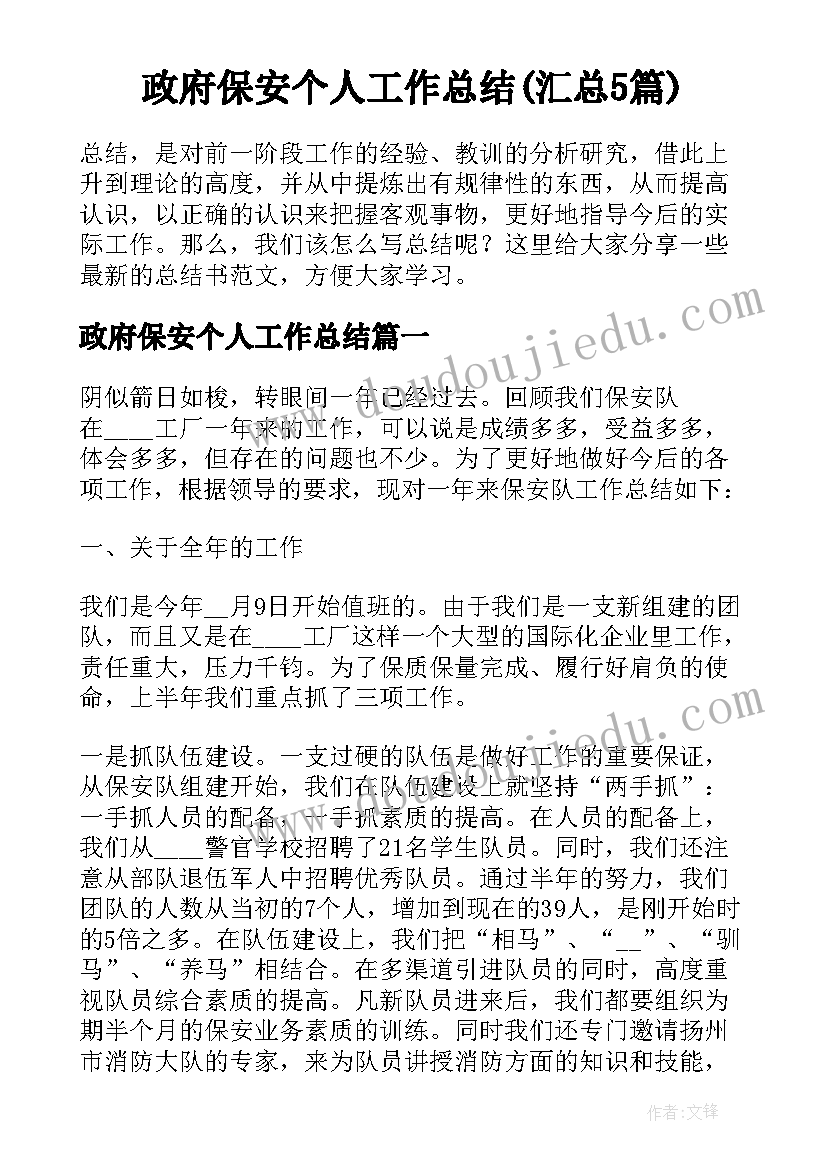 政府保安个人工作总结(汇总5篇)