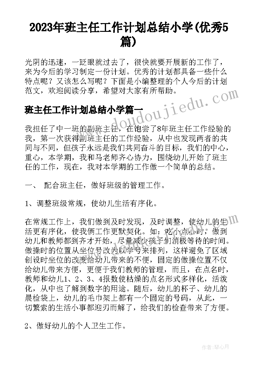 2023年班主任工作计划总结小学(优秀5篇)