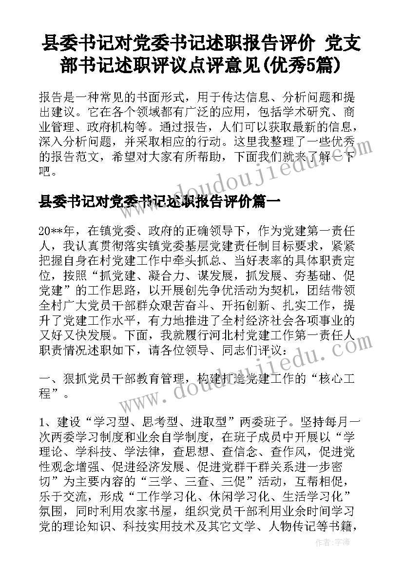 县委书记对党委书记述职报告评价 党支部书记述职评议点评意见(优秀5篇)