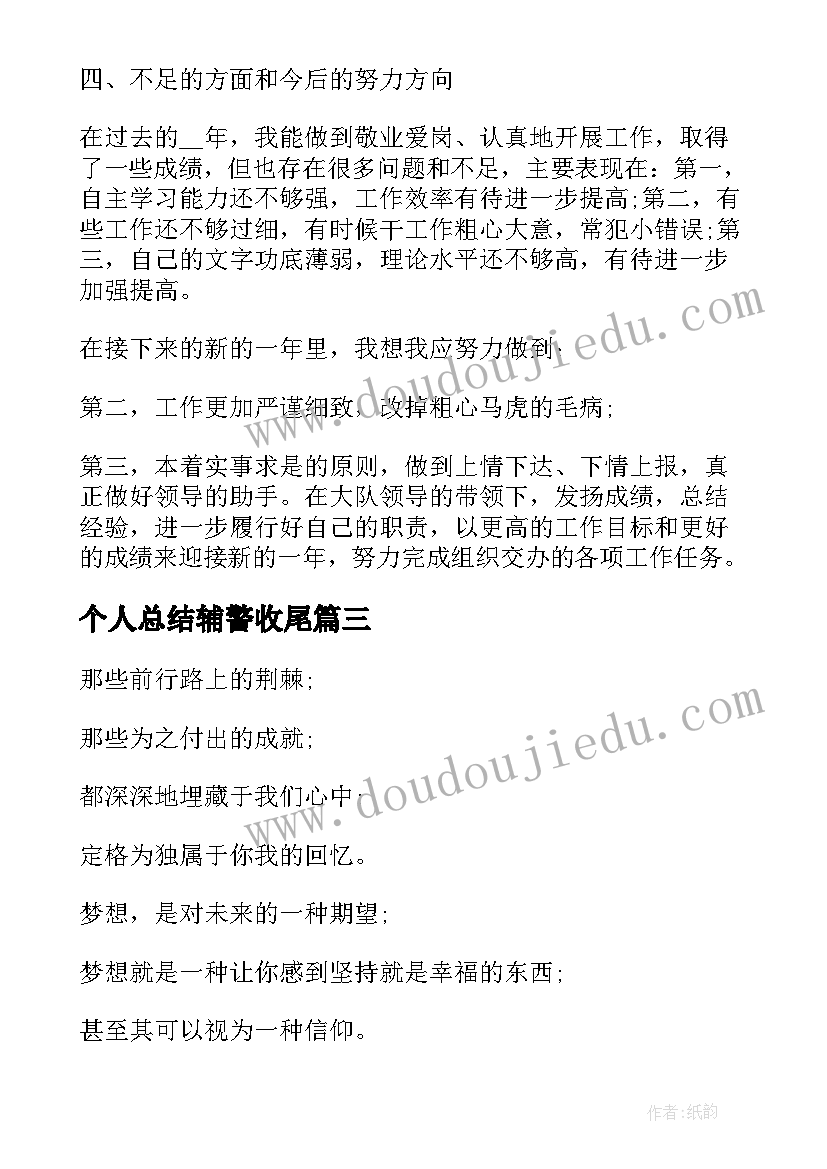 2023年个人总结辅警收尾(通用6篇)