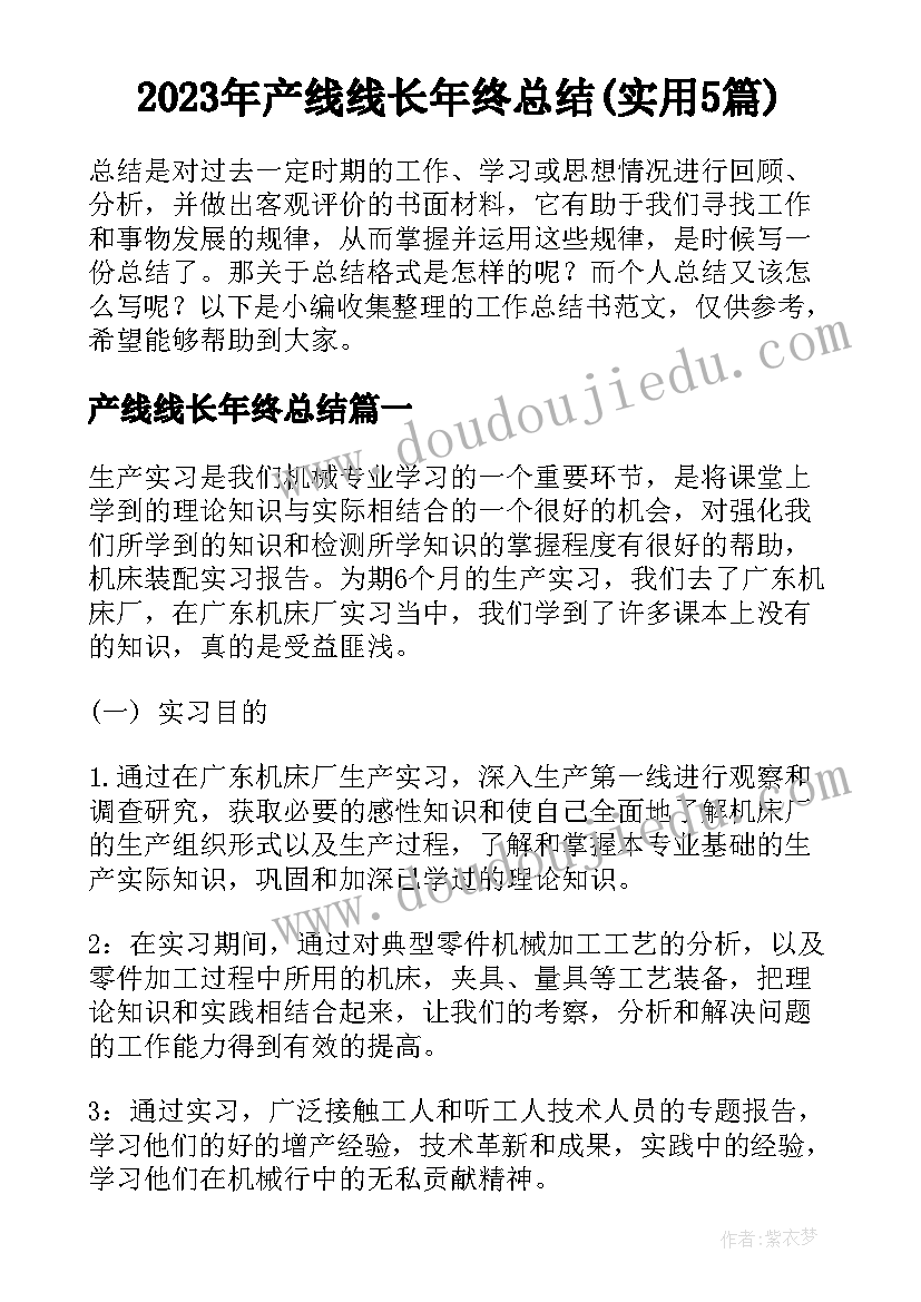 2023年产线线长年终总结(实用5篇)