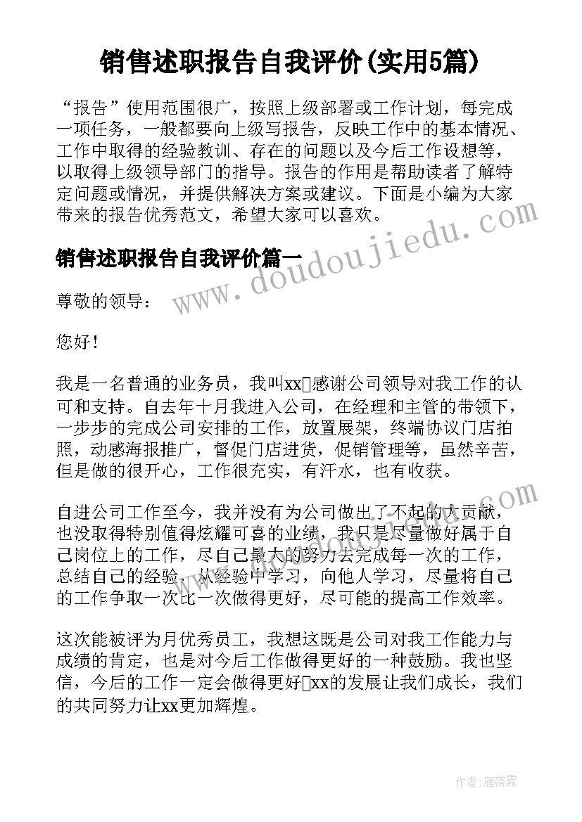 销售述职报告自我评价(实用5篇)