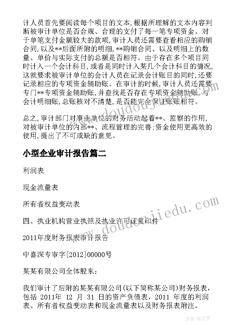 小型企业审计报告(精选5篇)