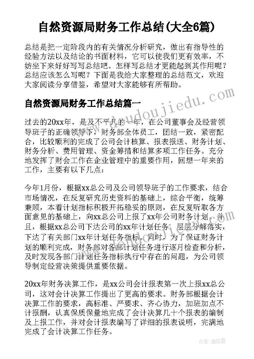 自然资源局财务工作总结(大全6篇)