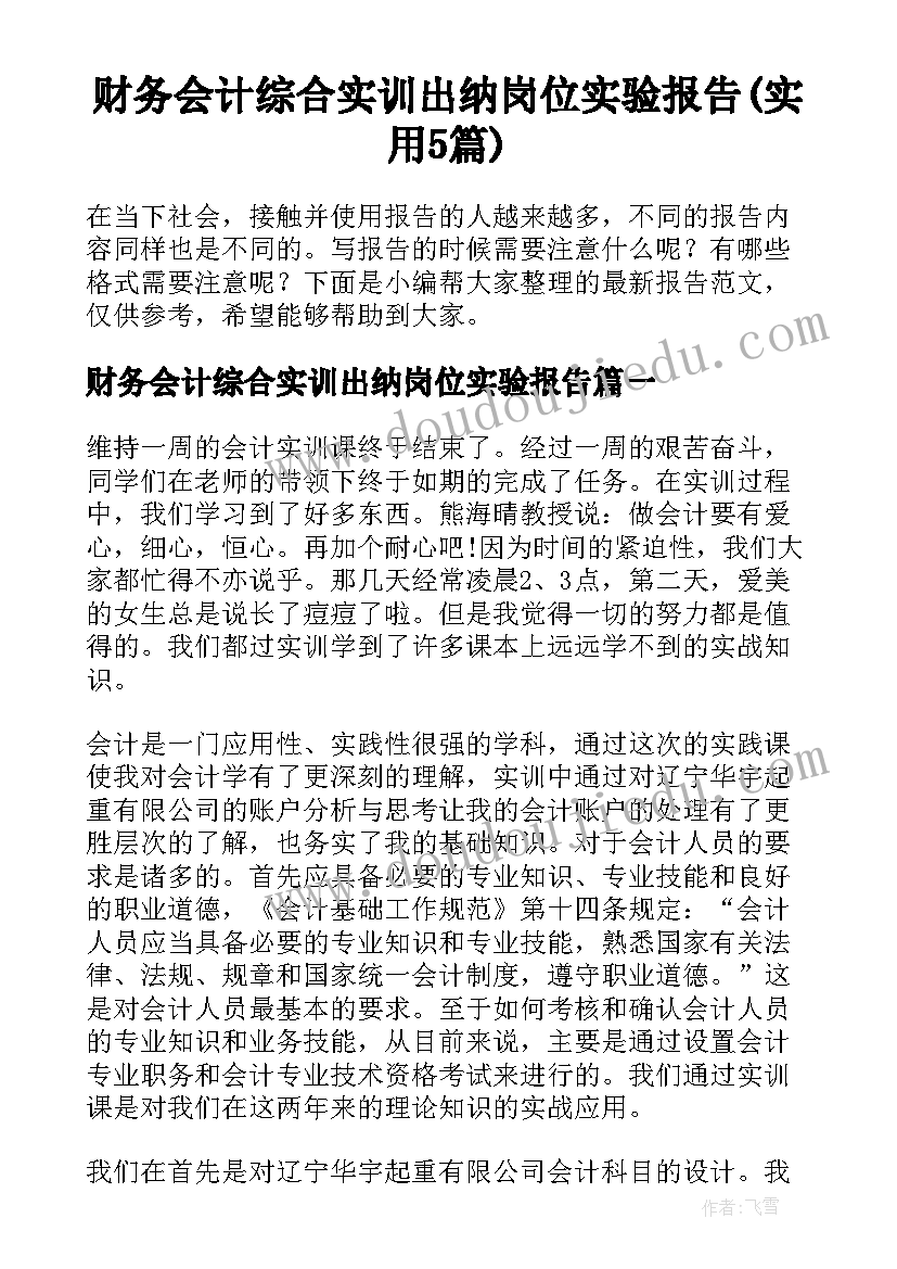 财务会计综合实训出纳岗位实验报告(实用5篇)