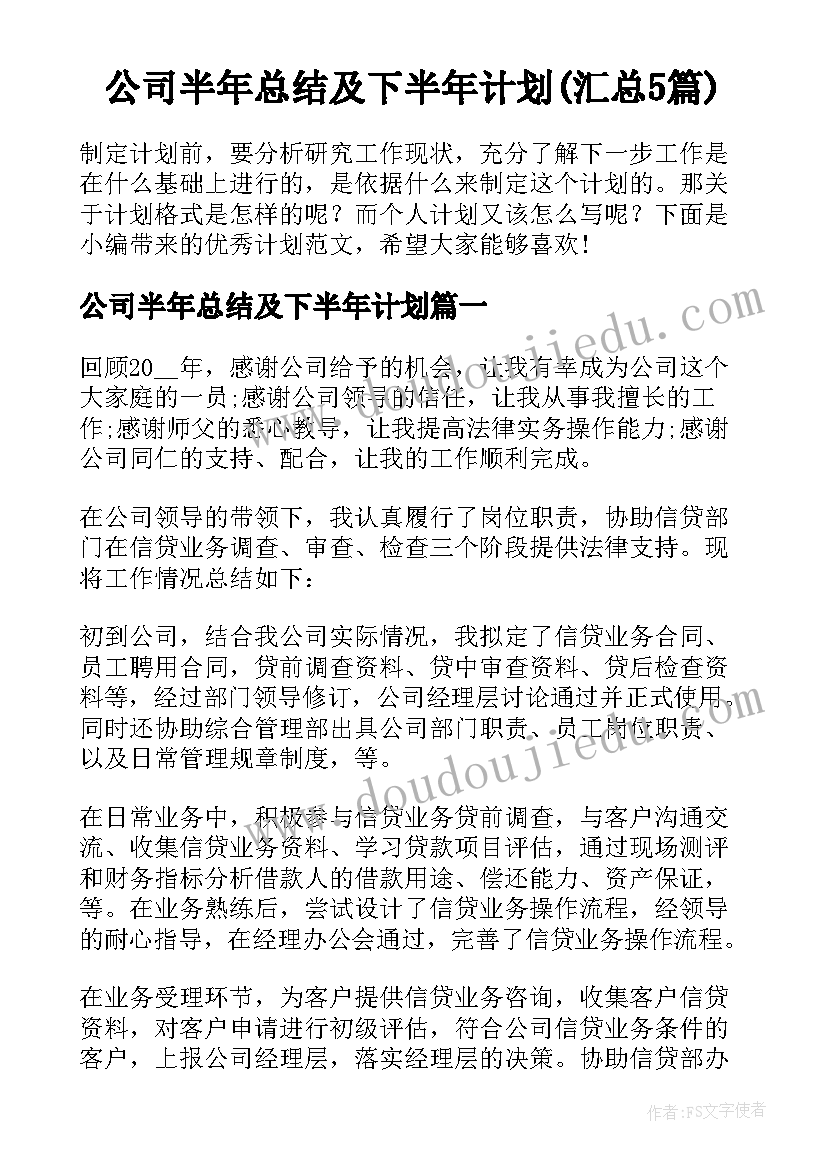 公司半年总结及下半年计划(汇总5篇)