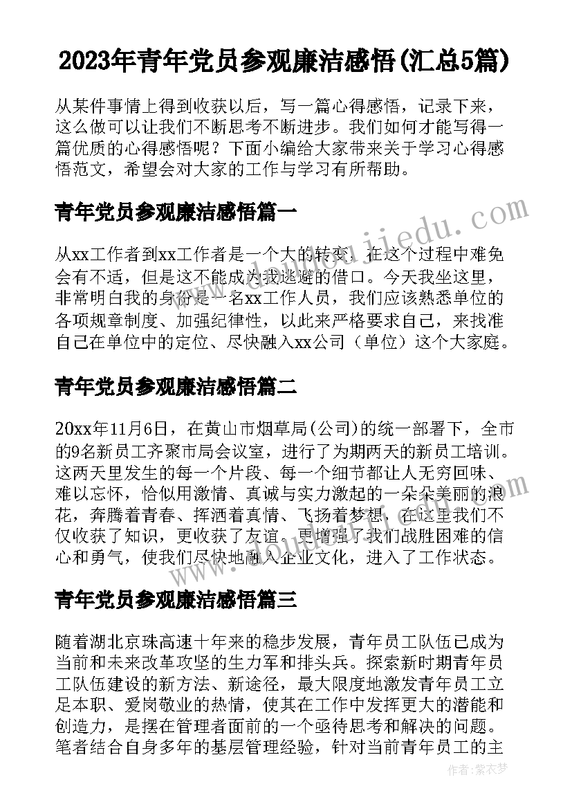 2023年青年党员参观廉洁感悟(汇总5篇)