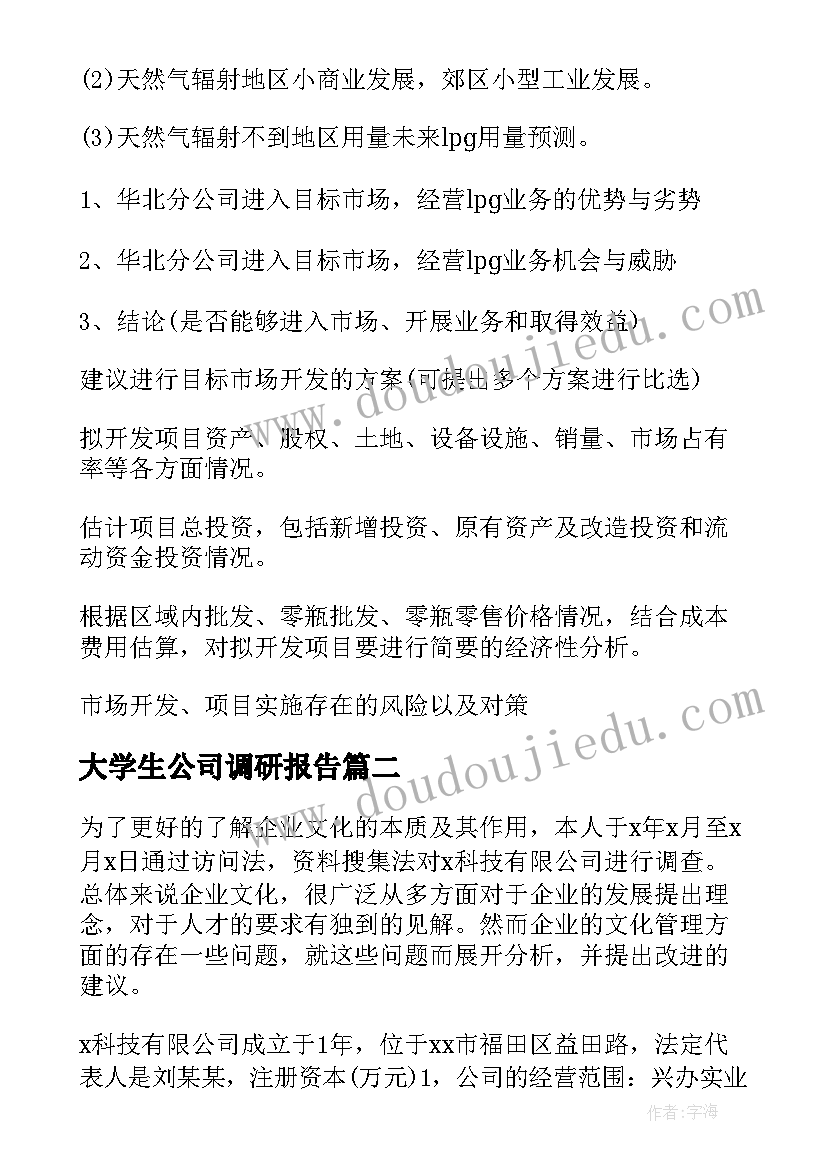 大学生公司调研报告 公司市场调研报告(大全10篇)