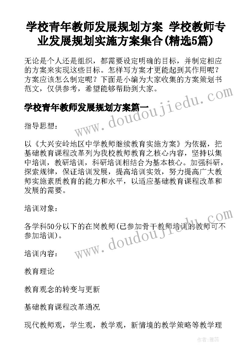 学校青年教师发展规划方案 学校教师专业发展规划实施方案集合(精选5篇)