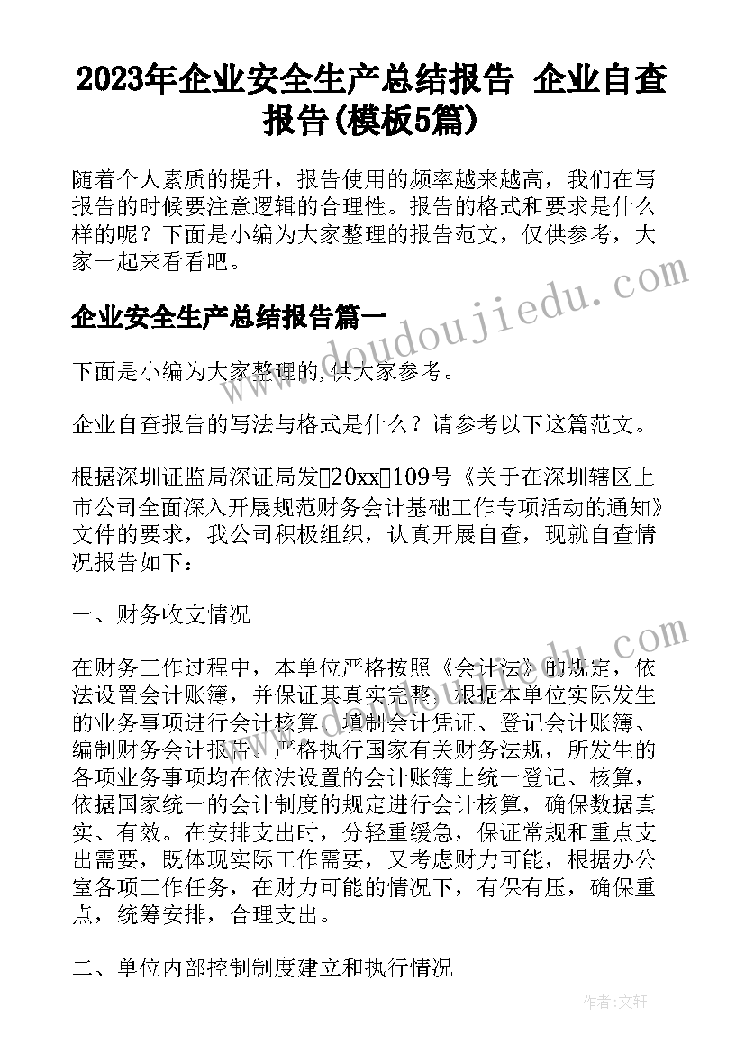 2023年企业安全生产总结报告 企业自查报告(模板5篇)