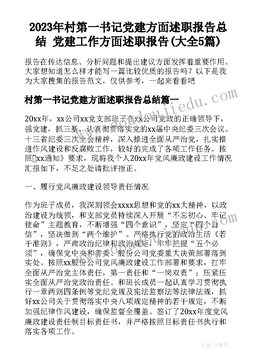 2023年村第一书记党建方面述职报告总结 党建工作方面述职报告(大全5篇)